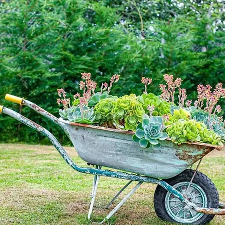 Cosy House In Holiday home *